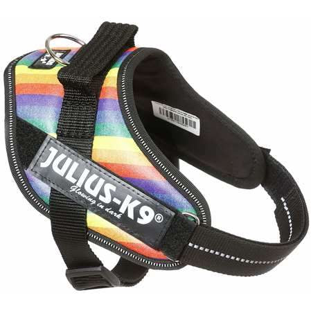 Julius k9 top size mini