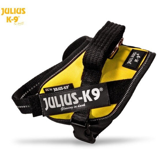 JULIUS K9 Original Powerharness Sun Yellow DISCONTINUED – CANIS