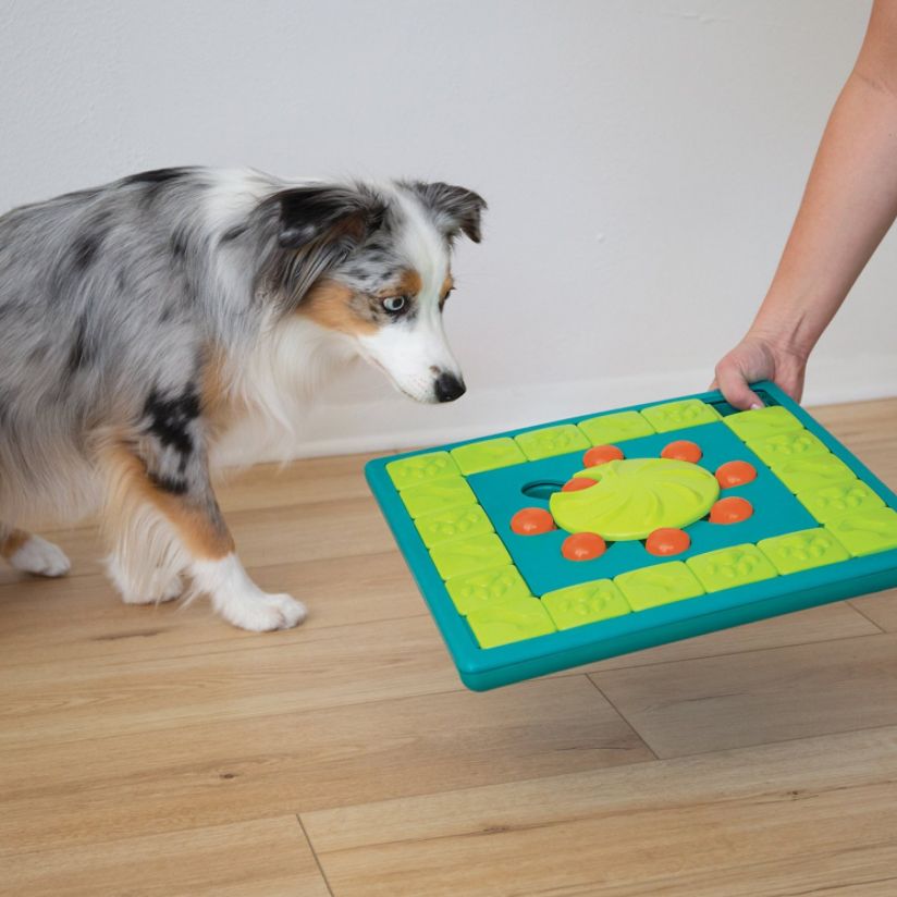Nina Ottosson by Outward Hound Multi Puzzle Interactive Dog Puzzle - L –  P