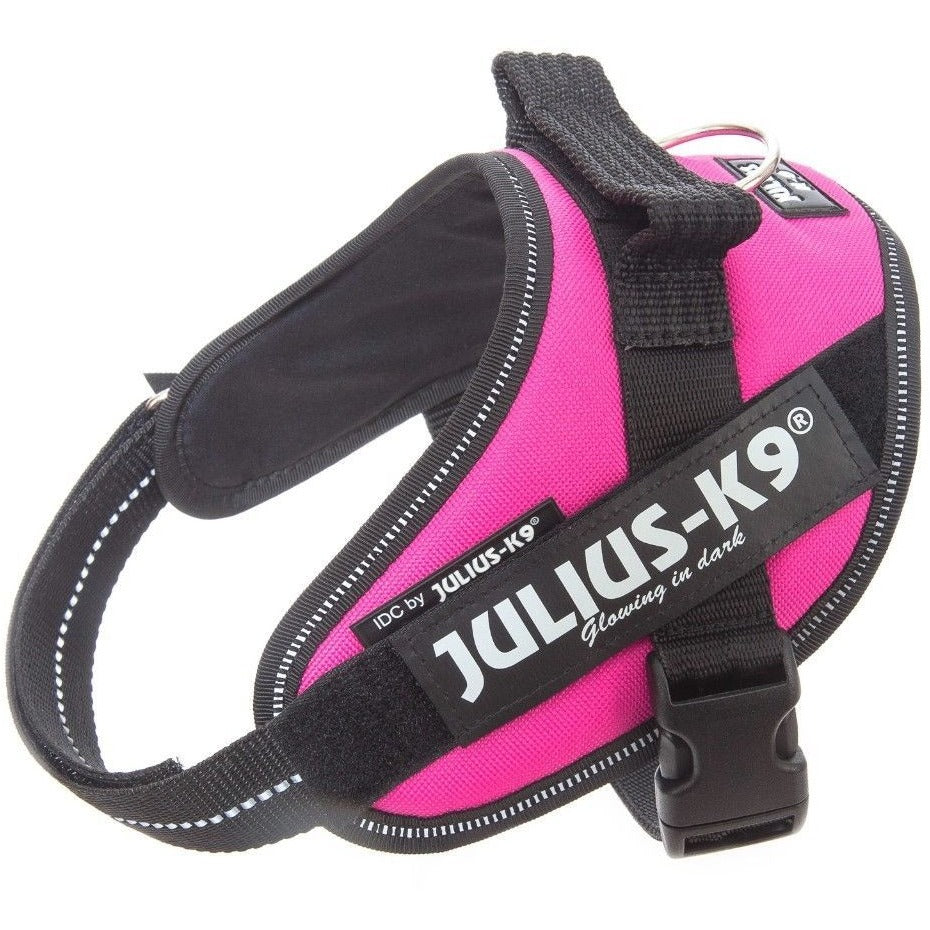 JULIUS K9 IDC Powerharness Dark Pink – CANIS CALLIDUS Quality Dog Supplies  from Europe