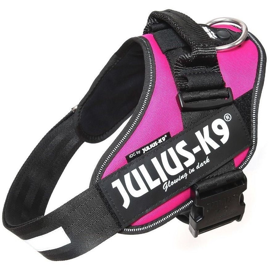 JULIUS K9 IDC Belt Harness Black - NEW GENERATION – CANIS CALLIDUS