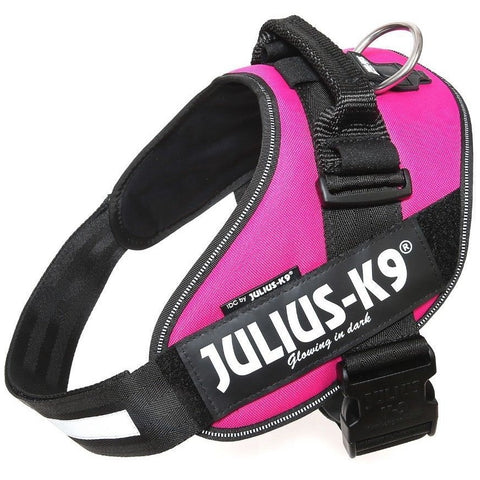 JULIUS K9 IDC Powerharness Neon-green – CANIS CALLIDUS Quality Dog Supplies  from Europe
