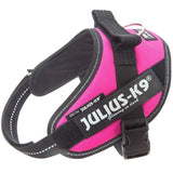 JULIUS K9 IDC Powerharness Dark Pink
